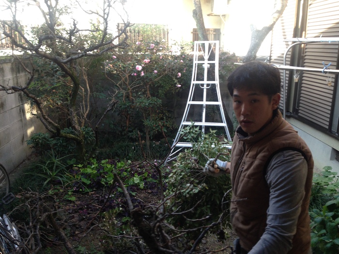 奈良　造園屋