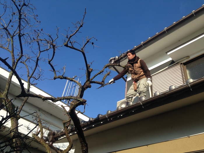 奈良 造園屋 奈良 造園屋