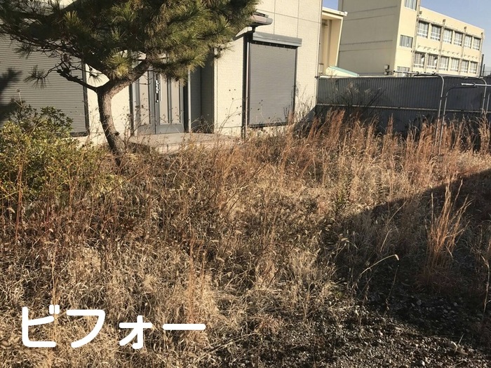 奈良 草刈り 奈良 草刈り